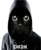 a black cat wearing a black hoodie with the word okak written on the bottom