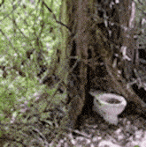 Toilet In The Woods GIF