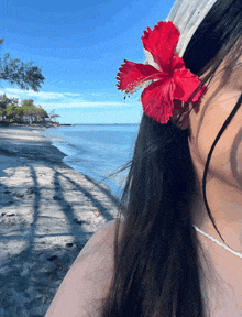 a woman with a red flower in her hair is standing on a beach