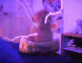 a cat is sitting on a bed in a room with a purple light behind it