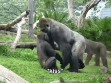 Monkey Kisses Are Cute. GIF - Monkeykisses GIFs