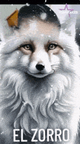 a picture of a white fox with the words el zorro on the bottom