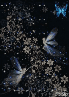 fairies butterflies