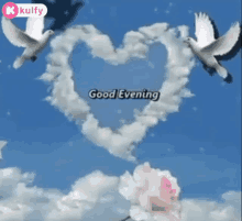 Good Evening Wishes GIF - Good Evening Wishes Dove GIFs
