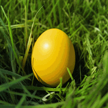 a yellow egg is sitting in the grass with a green background