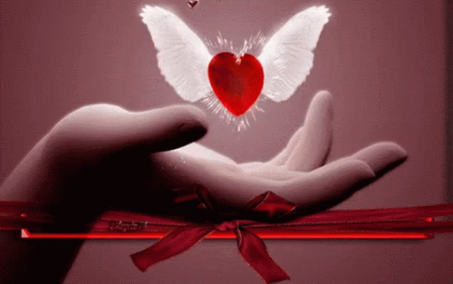Heart Love GIF - Heart Love Wings - Discover & Share GIFs