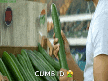 Cucumber Seductive GIF - Cucumber Seductive Lewd GIFs