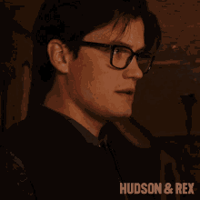Confused Jesse Mills GIF - Confused Jesse Mills Hudson And Rex GIFs