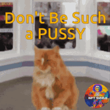 Dont Be A Pussy Dont Be Such A Pussy GIF - Dont Be A Pussy Dont Be Such A Pussy Dont Be Scared GIFs