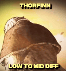 a picture of a man with the words thorfinn low to mid diff on the bottom
