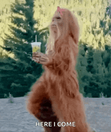 a bigfoot holding a cup of lemonade with the words here i come below it