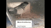 a picture of a pigeon in a box with the words beschreibung written on the bottom