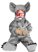 a person in a koala costume is holding a stuffed koala