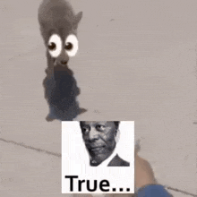 a cat with big eyes and a picture of a man .