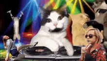 Party Hard Dj Cat GIF - Party Hard Dj Cat GIFs
