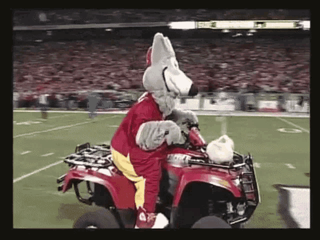 Kansas City Chiefs mascot KC Wolf watches as four Apache helicopters out of  Fort Riley fly over the field before the first half of an NFL football game  between the Kansas City