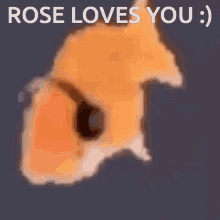 Rose Loves GIF - Rose Loves You GIFs