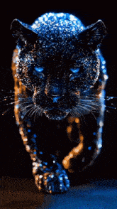 a panther with blue eyes is surrounded by blue and orange lights
