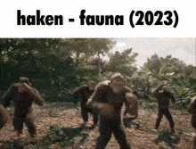 Haken Fauna GIF - Haken Fauna Monkey GIFs