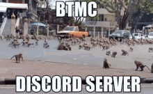 Btmc Discord GIF - Btmc Discord Monkey GIFs