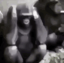 Monkey Noway A Monkey GIF - Monkey Noway A Monkey Monkey Dance GIFs