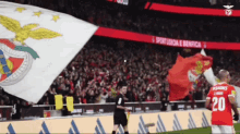 Benfica Slb GIF - Benfica Slb GIFs