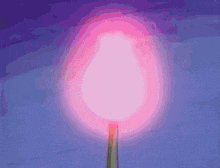 a close up of a pink light bulb with a purple background