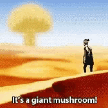 Sokka It Is A Giant Mushroom GIF