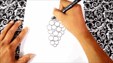 a person drawing a bunch of grapes with a marker