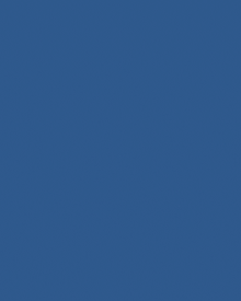 a graphic designing company in shimla is advertised on a blue background