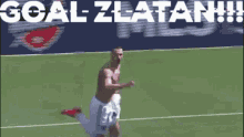 Zlatan Ibrahimovic Goal Zlatan GIF - Zlatan Ibrahimovic Goal Zlatan Goal La Galaxy GIFs