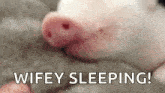 Pig Pigglet GIF - Pig Pigglet Dream GIFs