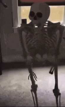 a skeleton is sitting in a chair in front of a window in a dark room .