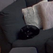 a black cat is laying on a grey couch with pillows .