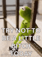 kermit the frog is sitting on a railing and says `` try not to be a little bitch today ''