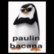 Paulin Paulin Bacana GIF - Paulin Paulin Bacana Bacana GIFs