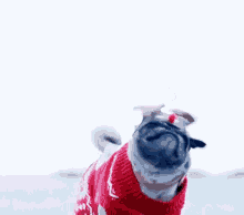 Reindeer Pug GIF