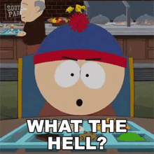 What The Hell Stan Marsh GIF - What The Hell Stan Marsh South Park GIFs