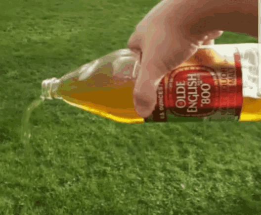 pouring beer gif