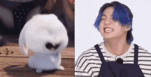 Jungkook Jungkook Snowball GIF - Jungkook Jungkook Snowball Jungkook Laugh GIFs