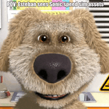 a cartoon dog with the caption " esteban sees sonic speed sin assets "