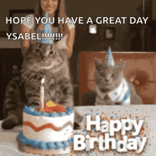 a cat and a dog are sitting in front of a birthday cake with a candle .