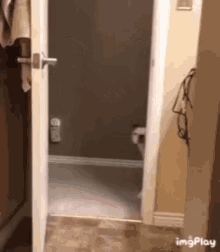 Dog Surprise GIF - Dog Surprise What GIFs