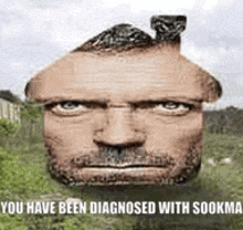 a man 's head is shaped like a house with a chimney on top .