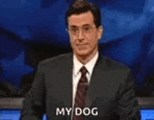 a man in a suit and tie is giving a speech and says my dog .