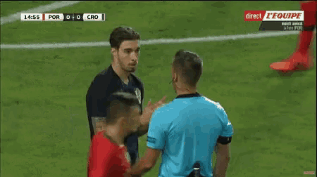 sime-vrsaljko-argue.gif