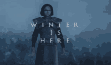 Fairyliveshow Winter Is Here GIF - Fairyliveshow Fairy Winter Is Here GIFs