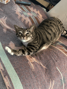 a cat laying on a blanket with a remote control on the table