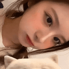 Sullyoon GIF - Sullyoon GIFs