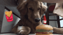 Ruocgu Golden GIF - Ruocgu Golden Burger GIFs